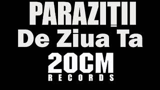 PARAZITII  De Ziua Ta INSTRUMENTAL [upl. by Etnoek720]