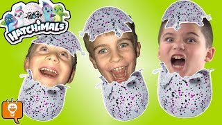 NEW HATCHIMALS SURPRISE Egg TOY Fun New Toy Haul HobbyFamilyTV [upl. by Martina887]