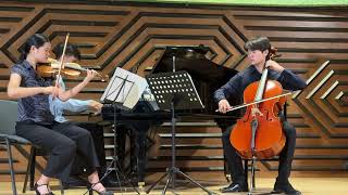 Mendelssohn Piano Trio no 1 d minor op 49 1 Molto allegro e agitato [upl. by Ahseyd]