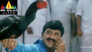 Palanati Brahmanaidu Movie Chittimallu Fight  Bala Krishna Sonali Bendre  Sri Balaji Video [upl. by Arraeis980]