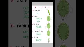 Placentation In Flowering plants ☘️ Morphology neet board [upl. by Alcinia705]