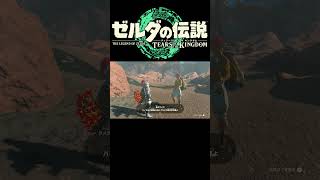 ゼルダの伝説 TotK【ゲルド族のラメラ】short [upl. by Sergius]