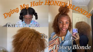 Dying My Hair Honey Blonde WITHOUT BLEACH • Creme of Nature [upl. by Lanette]