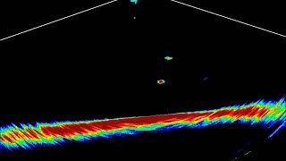 Lowrance LiveSight no strike [upl. by Magree]