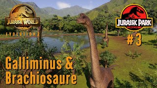 Jurassic World Evolution 2  Recréer Jurassic Park Film 1993 3  Galliminus amp Brachiosaure [upl. by Albrecht]