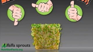 Dont Eat Raw Alfalfa Sprouts [upl. by Moreen]