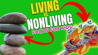 NonLiving Things  Science Song for Kids  Elementary Life Science  Jack Hartmann [upl. by Attenwahs379]