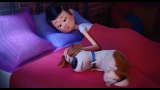 PETS  Spot quotZu Hausequot HD [upl. by Alleen777]