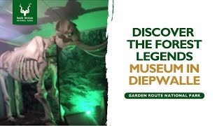 Forest Legends Museum amp Tea Garden  Diepwalle  Garden Route National Park [upl. by Nudd]