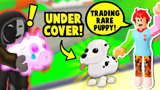 Using the PUPPY HACK to SPY on SCAMMERS and get INFO about my STOLEN DREAM PET Adopt Me Roblox [upl. by Akitan780]