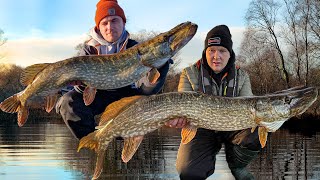 We found them  Float fishing Deadbaits for pike [upl. by Loris]