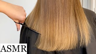 ASMR  Real person haircut ✂️ hair brushing scissors sounds hair play no talking [upl. by Rame]