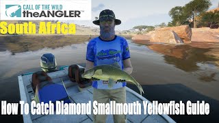 Call of the Wild The Angler South Africa How To Catch Diamond Smallmouth Yellowfish Guide [upl. by Ocsecnarf844]