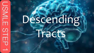 USMLE Step 1  Descending Tracts [upl. by Yruam827]