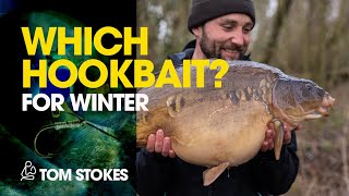 Which Hookbait For Winter  Tom Stokes [upl. by Sredna]