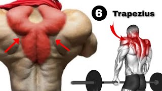 Best Trapezius Muscle Pain Relief Workout [upl. by Benedetto]