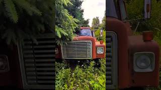 international abandoned truck at this local gas station illegaldumping nature trash litter [upl. by Yvan]