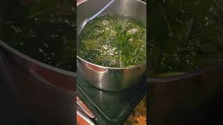 Collards collard greens cooking on the stove at the homestead [upl. by Bonine]