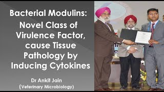 Bacterial Modulins Novel Class of Virulence Factor cause Tissue Pathology by Inducing Cytokines [upl. by Eniamret]