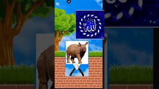 love arabic islamicrelaxingmusic alightmotion answer [upl. by Nnahgiel]