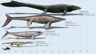 The 10 Biggest Mosasaurs Ever [upl. by Nerin]