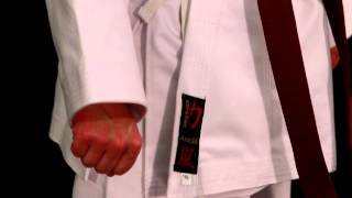 Chikara Arashi Karate Gi [upl. by Arreyt]