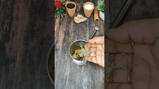 Shahi Rajwadi Chai  Chai Recipe tea streetchai shorts viralvideo shortvideo rajwadichai [upl. by Gardia208]