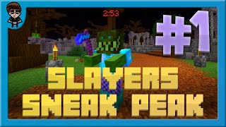 Hypixel Skyblock Singleplayer Slayers 13 Sneak Peak  Stream Highlights [upl. by Gabrila898]