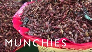 La Guía Munchies de Oaxaca  Parte 2 [upl. by Ahiel]