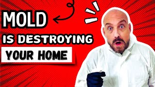 Is Mold Secretly DESTROYING your home [upl. by Mingche]