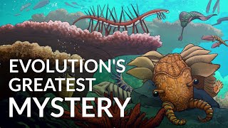 What Caused The Cambrian Explosion [upl. by Ruhl]