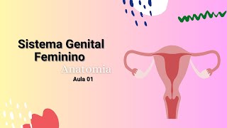 SISTEMA GENITAL FEMININO  Visão geral  Ovários e hormônios  Medicina Curso superior [upl. by Arua]