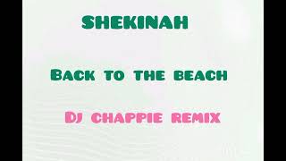 shekinah  Back to the beach  dj chappie remix [upl. by Mcclure]