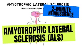 2Minute Neuroscience Amyotrophic Lateral Sclerosis ALS [upl. by Naesal]