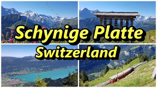 Schynige Platte Switzerland  Best walk in Switzerland [upl. by Klein]