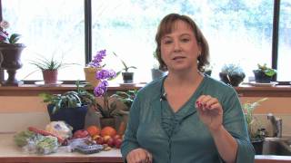 Gardening Flowers amp Vegetables  How to Grow Wintergreen Gaultheria Procumbens [upl. by Edee933]