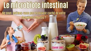 Le microbiote intestinal  Ne sousestimezvous pas le pouvoir caché de votre deuxième cerveau [upl. by Scrivens820]