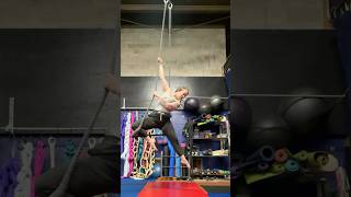 Trapeze adventure trapeze circus aerialsilks aerialhammock circus [upl. by Gierc]