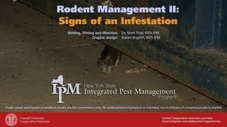 Rodent Management II Signs of a Rodent Infestation [upl. by Ramhaj]