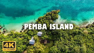 Pemba island Zanzibar Tanzania 🇹🇿  4K Drone Footage [upl. by Obaza]