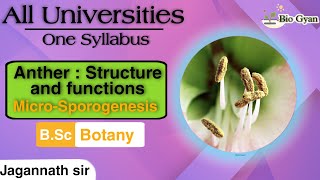 Anther Microsporogenesis Reproductive Biology of angiosperm [upl. by Nizam414]