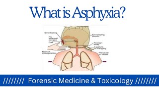 What is Asphyxia  General Introduction to Asphyxia  Forensic Medicine amp Toxicology  Part1 [upl. by Yedrahs]