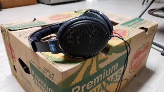 Sennheiser HD600 ReviewImpressions After Four Months [upl. by Amata732]