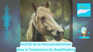 Intérêt de la Neuromodulation dans le Traitement du HeadShaking [upl. by Oremoh]