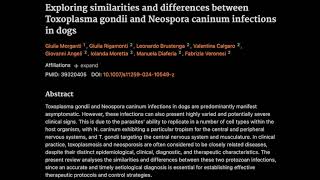 Similarities and differences between Toxoplasma gondii and Neospora caninum infections in dogs [upl. by Wooster]