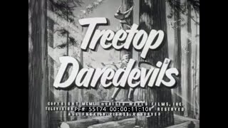 quot TREETOP DAREDEVILS quot 1950s LUMBERJACK amp LUMBER INDUSTRY FILM 55174 [upl. by Hurty692]