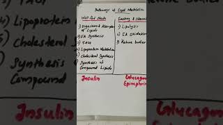 Major Metabolic Pathways of Lipid Metabolism in Well Fed State and in Fasting and Starvation😷👩‍⚕️🧪🧫🔬 [upl. by Aissirac]