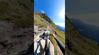 Alpine trail so sick 😎 mtb velodemontagne vtt mountains mtblife downhillmountainbike [upl. by Allehcim]