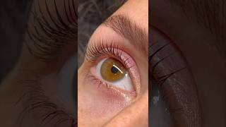 THE ELLEEBANA LASH LIFT [upl. by Cher]