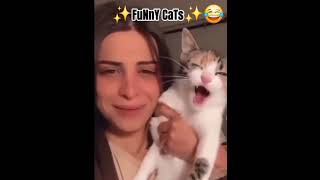 kittys trendfunnyeditcatmemes [upl. by Trinia]